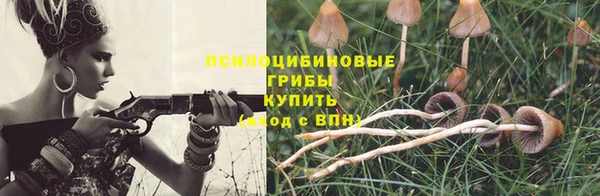 ешки Алзамай