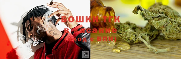 шишки Алексин