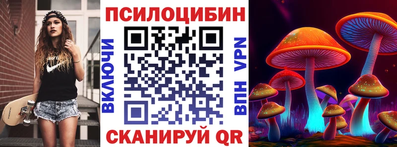 сколько стоит Мыски kraken как войти Галлюциногенные грибы MAGIC MUSHROOMS